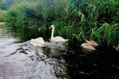 IMG20250719112-330