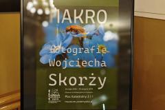 wyrozniaj