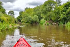 IMG-20260704-WA0036