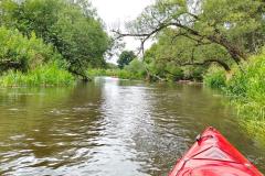 IMG-20260704-WA0044